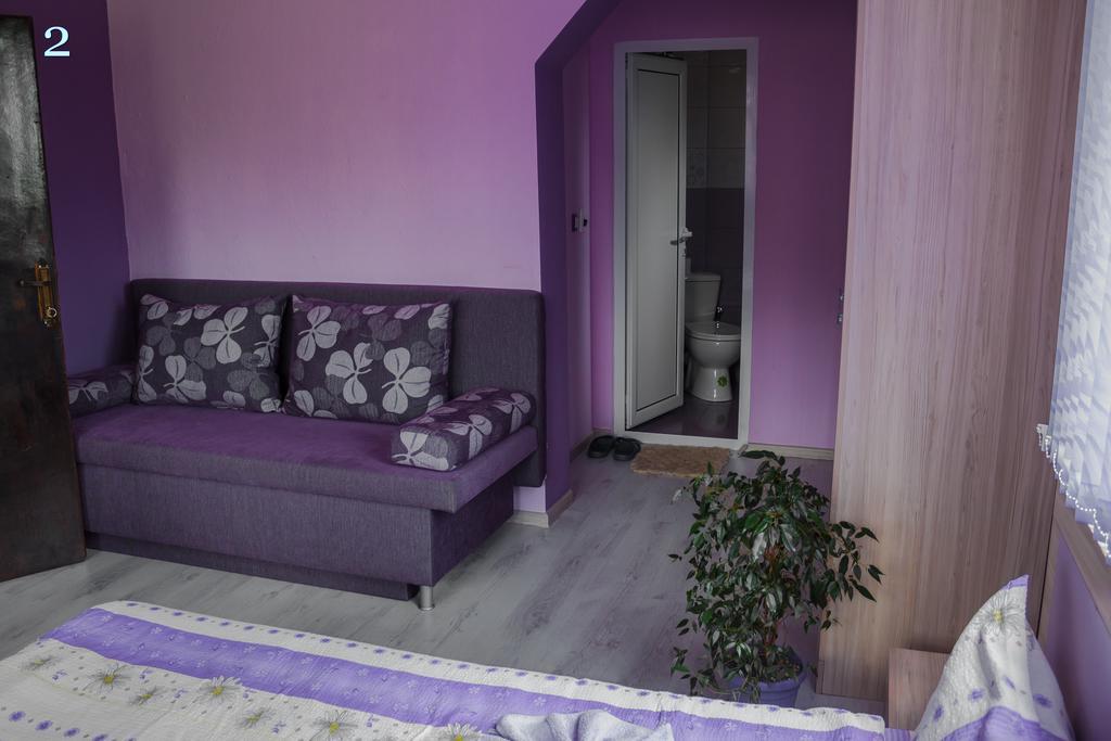 Villa Ribaritsa Exteriör bild