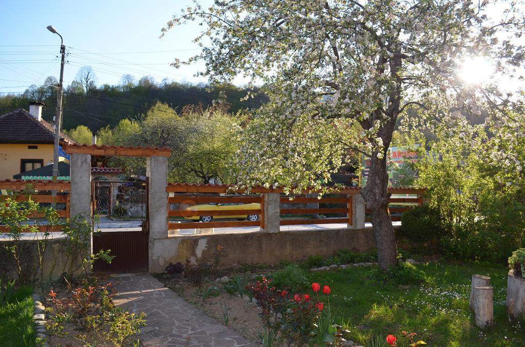 Villa Ribaritsa Exteriör bild