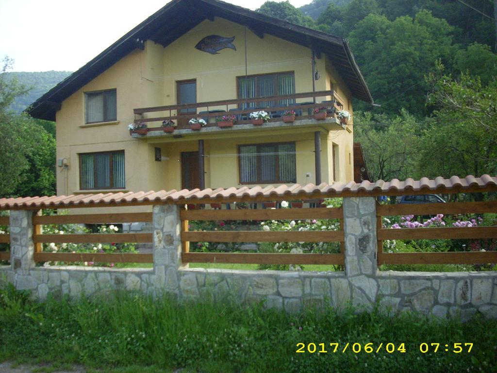 Villa Ribaritsa Exteriör bild