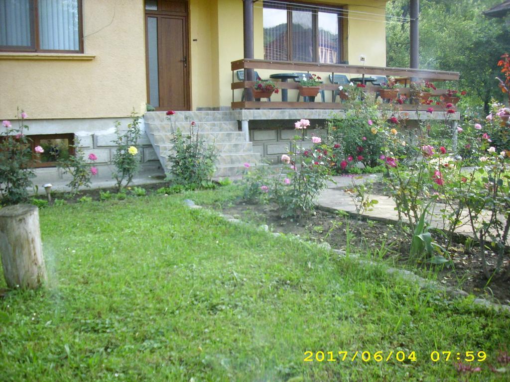 Villa Ribaritsa Exteriör bild