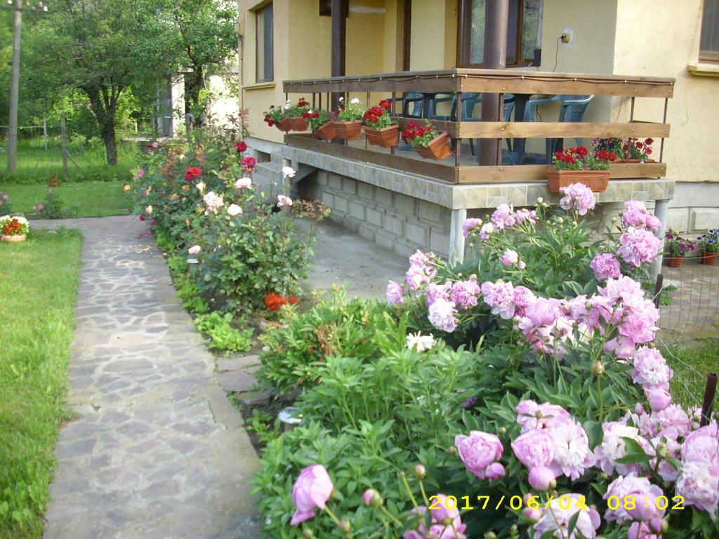 Villa Ribaritsa Exteriör bild