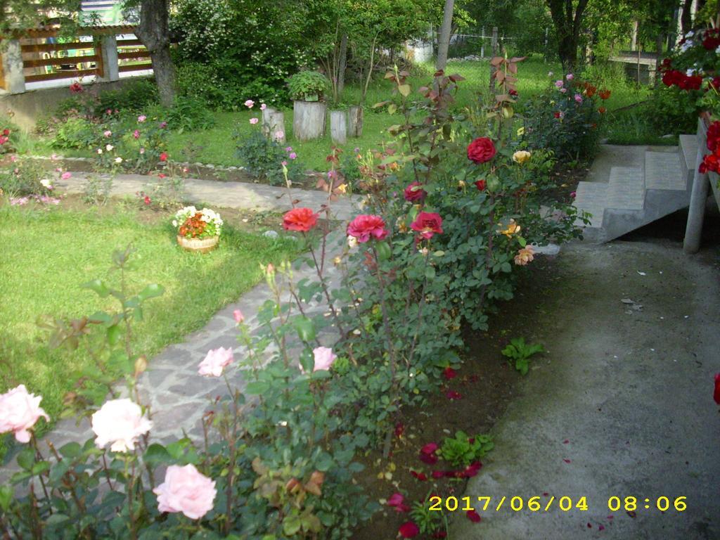 Villa Ribaritsa Exteriör bild