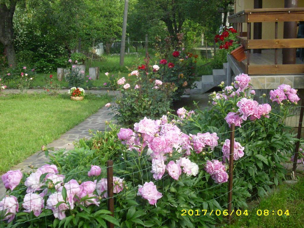 Villa Ribaritsa Exteriör bild