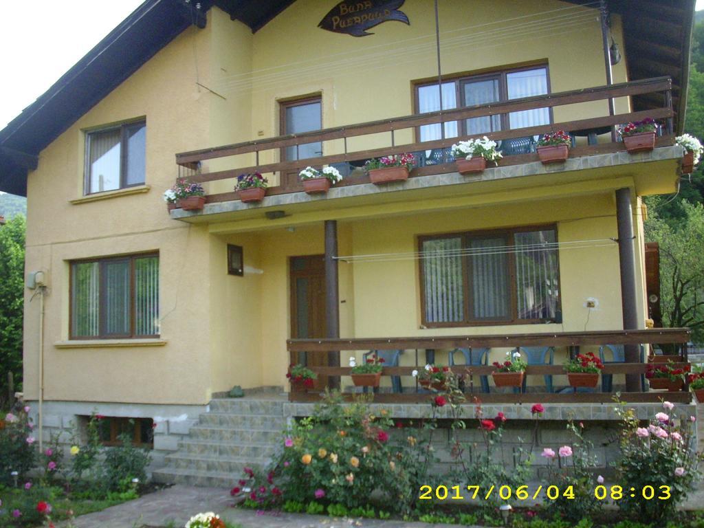 Villa Ribaritsa Exteriör bild