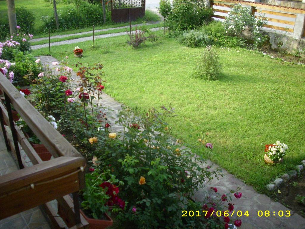 Villa Ribaritsa Exteriör bild