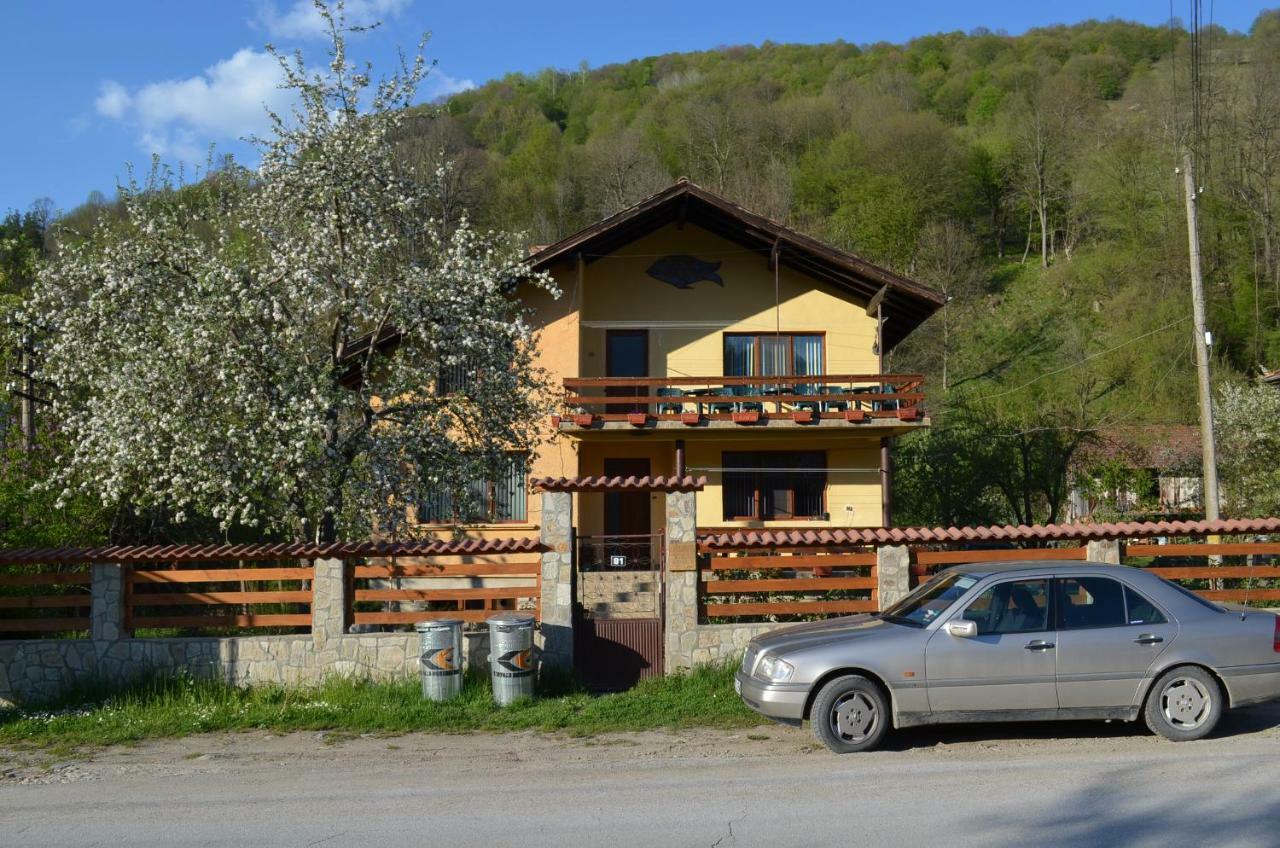 Villa Ribaritsa Exteriör bild